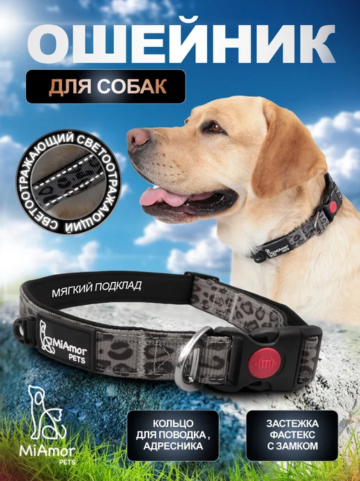 MiAmorPETS Ошейник для собак нейлоновый, серый