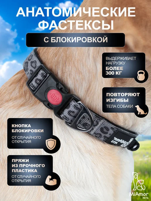 MiAmorPETS Ошейник для собак нейлоновый, серый, фото 3