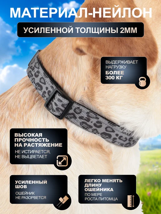 MiAmorPETS Ошейник для собак нейлоновый, серый, фото 4