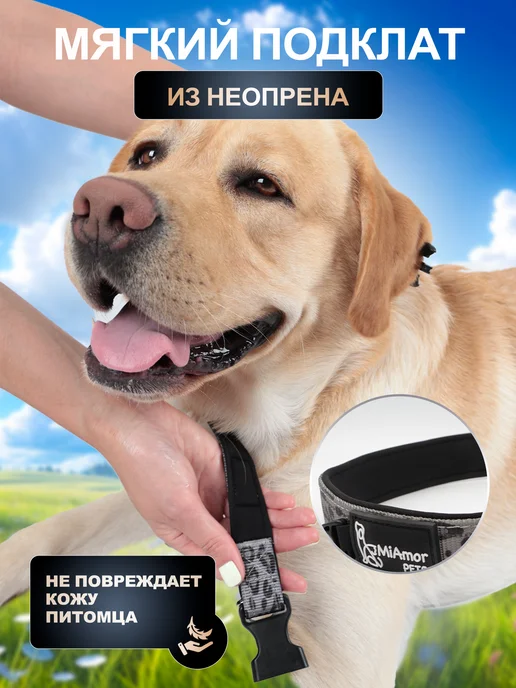 MiAmorPETS Ошейник для собак нейлоновый, серый, фото 6