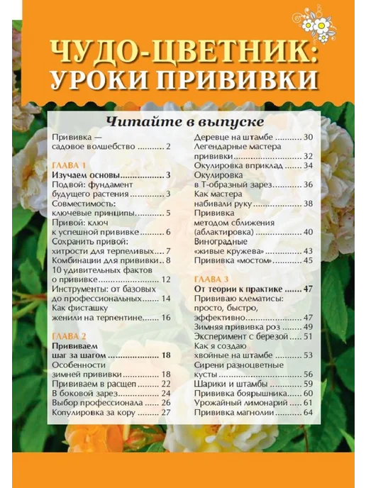 Цветок Журнал о цветах. Прививка деревьев, вариант, фото 2