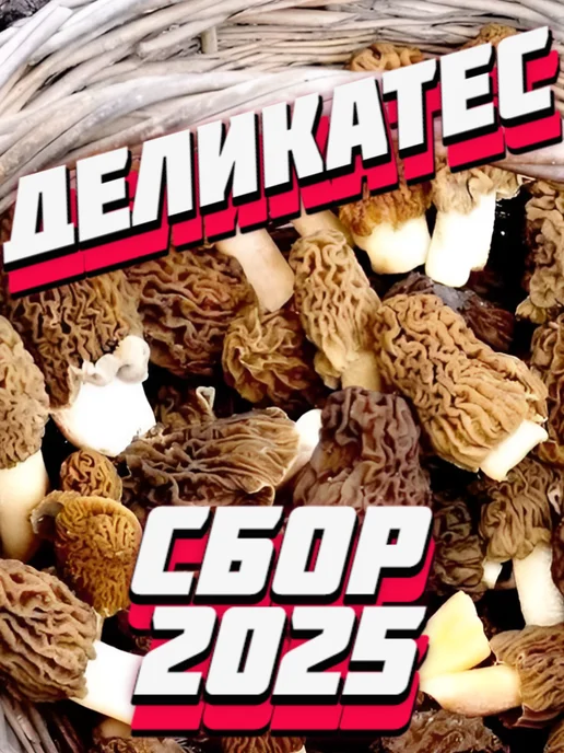 Naturalika Сморчки сушёные грибы деликатес 50г. Сбор 2025г, 50 г