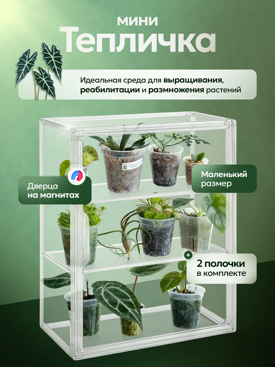 Мини тепличка для комнатных растений компактная с полками