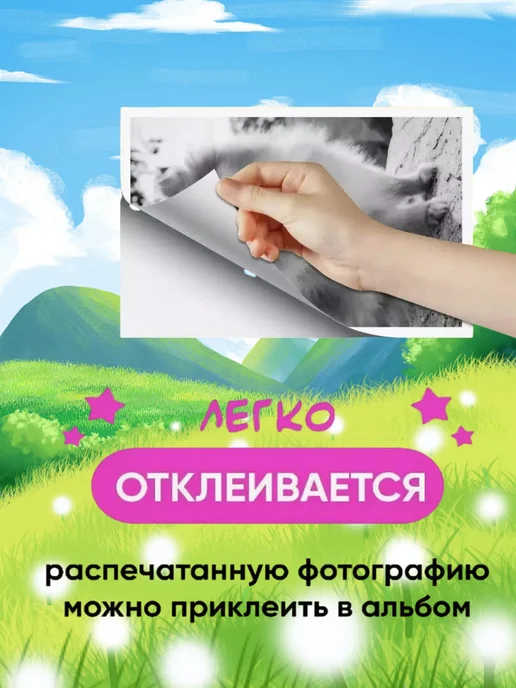 Термобумага для детского фотоаппарата, 5 шт, фото 4