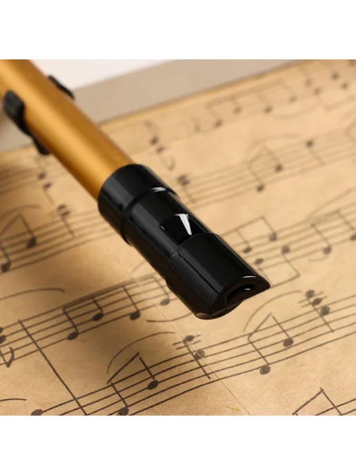 Флейта Music Life D золотая, профи, 30 см, золотой, фото 3