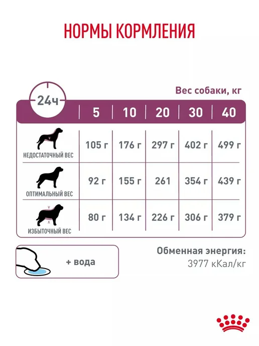 Сухой корм Royal canin Renal Почек для собак, 2 кг, фото 6