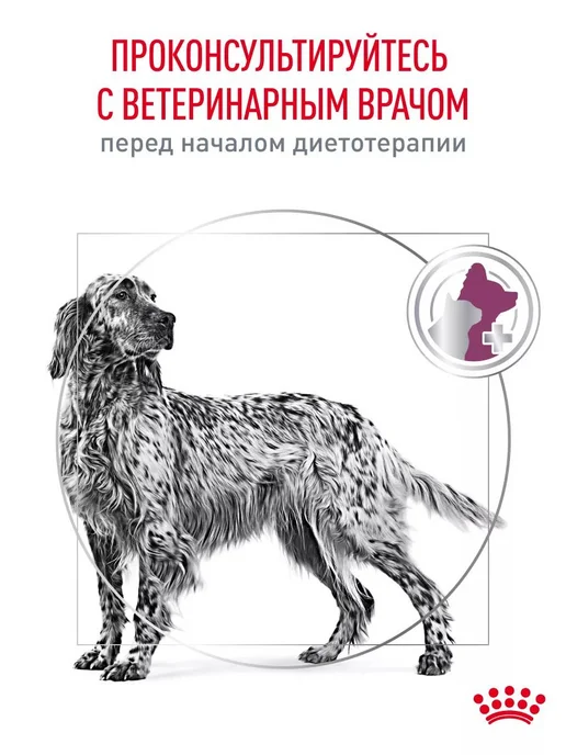 Сухой корм Royal canin Renal Почек для собак, 2 кг, фото 7