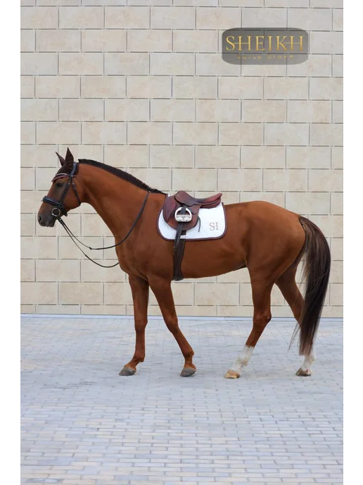 SHEIKH HORSE BRAND Вальтрап конкурный для верховой езды, коллекция ФОРЕСТ, белый, фото 4