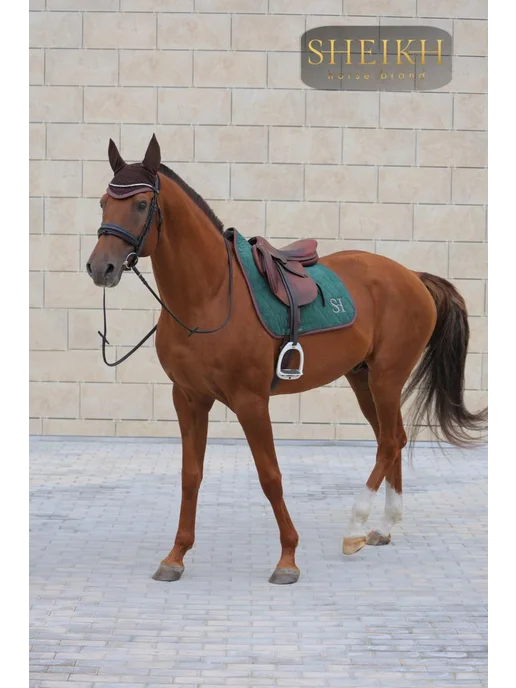 SHEIKH HORSE BRAND Вальтрап конкурный для верховой езды, коллекция ФОРЕСТ, зеленый, фото 5