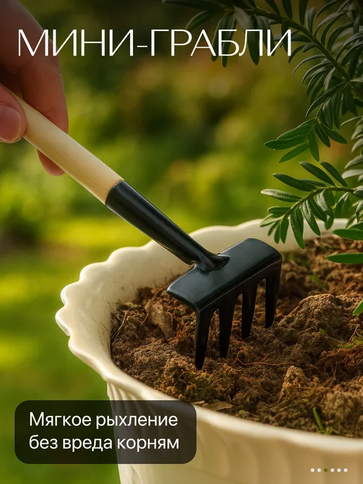 Botanica. Набор для пересадки комнатных растений и рассады, черный, фото 2