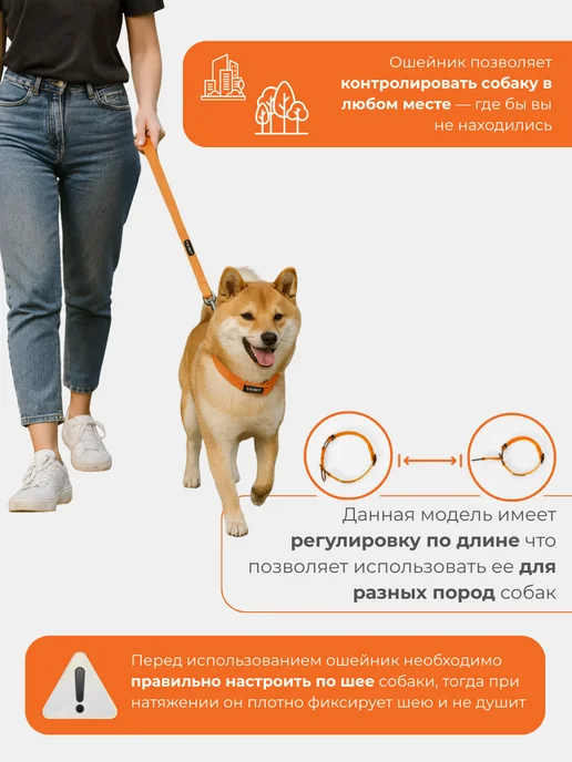 Easy Pet's Ошейник для собак model 5013 Half-choke collar, оранжевый, фото 8