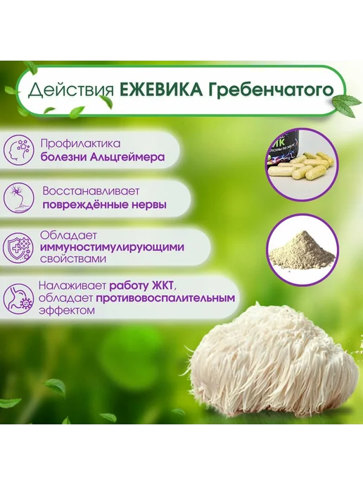 Naturalika Грибы сушеные Ежовик гребенчатый 50г, 50 г, фото 3