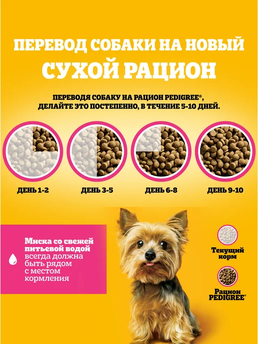 Сухой корм PEDIGREE для собак, мелкие, говядина, 0,5 кг, фото 5