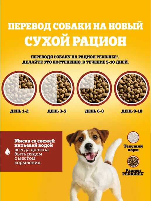 Сухой корм PEDIGREE для собак, взрослые, мелкие, говядина, 0,5 кг, фото 5