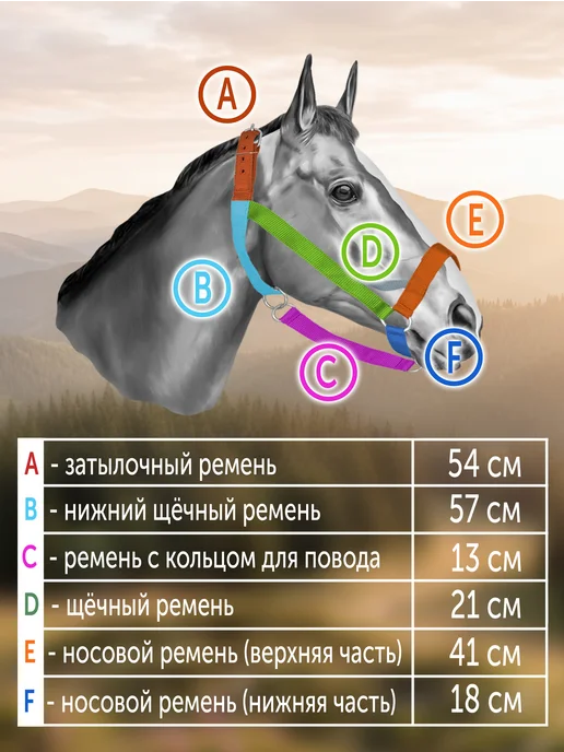 REITER Недоуздок для лошадей капроновый тройной 25 мм, черный, фото 2