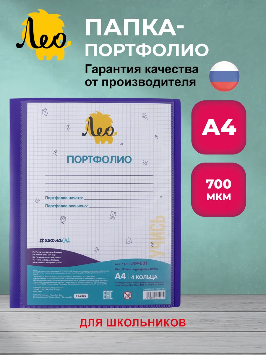 ШколаСад папка - портфолио школьника на 4 кольцах A4 LKP-031