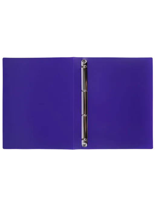 Лео ШколаСад папка - портфолио школьника на 4 кольцах A4 LKP-021, фиолетовый, фото 3