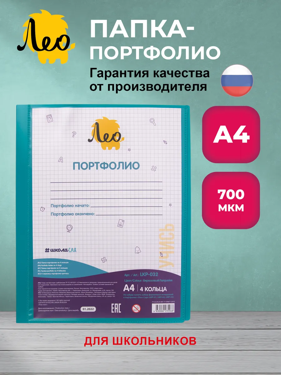 ШколаСад папка - портфолио школьника на 4 кольцах A4 LKP-032