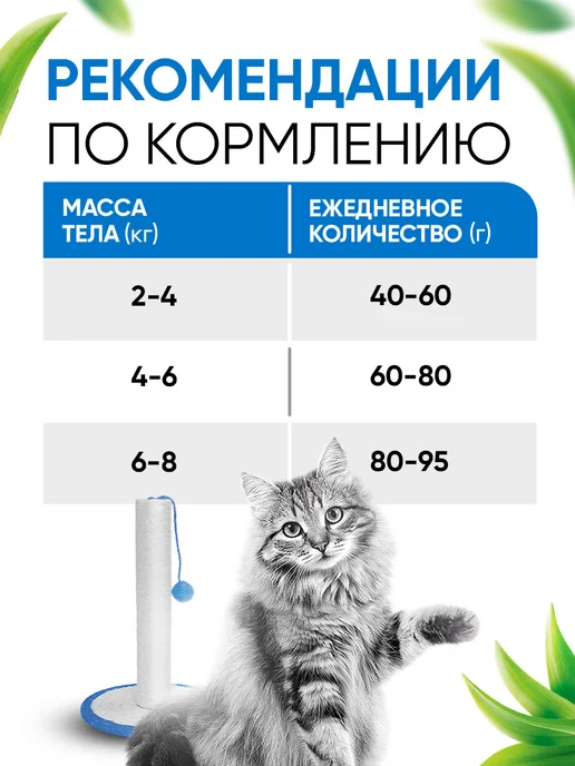 Сухой корм Delicana Кошек для собак, стерилизованные, лосось, 0,4 кг, фото 8