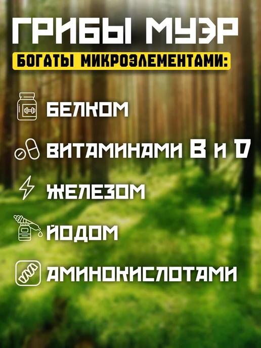 Грибы сушеные древесные Муэр, 100гр. 5шт, вариант, фото 2