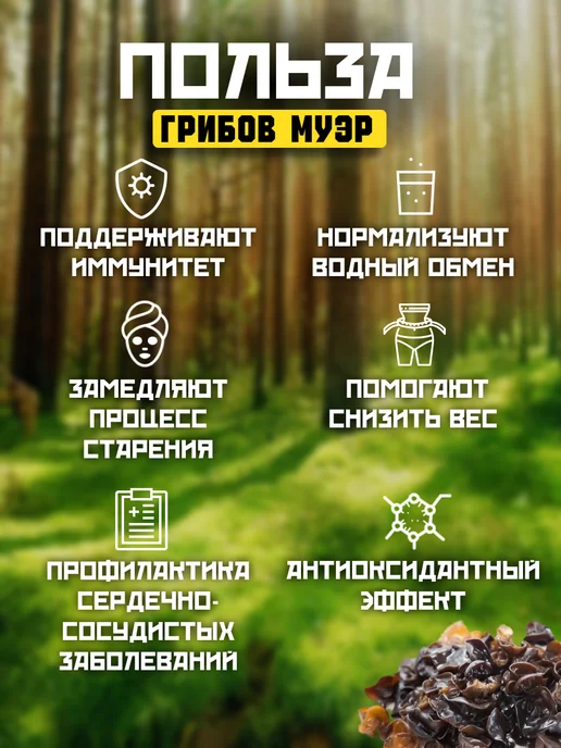 Грибы сушеные древесные Муэр, 100гр. 5шт, вариант, фото 4
