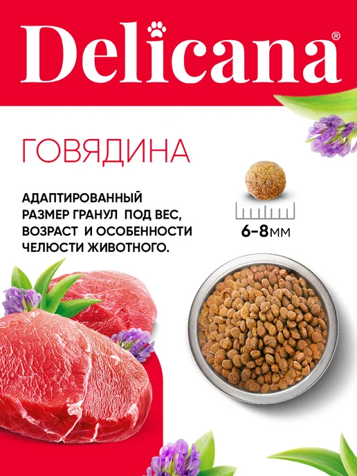 Сухой корм Delicana для собак, мелкие, щенки, говядина, 0,4 кг, фото 7
