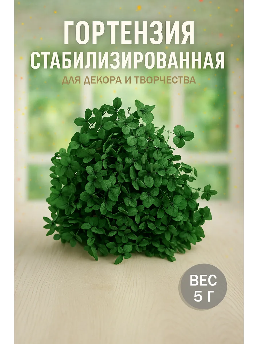 Стабилизированная гортензия сухоцветы