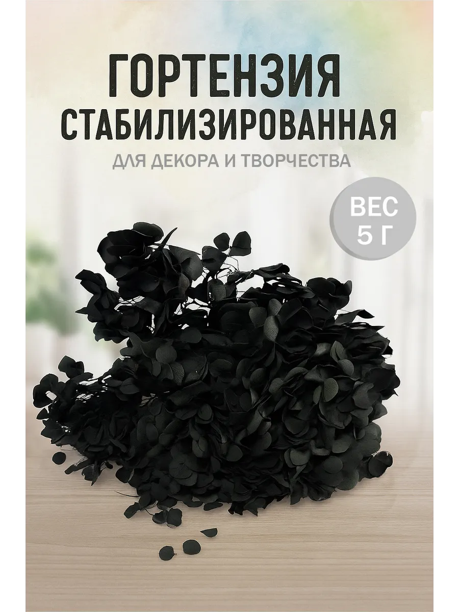 Стабилизированная гортензия сухоцветы