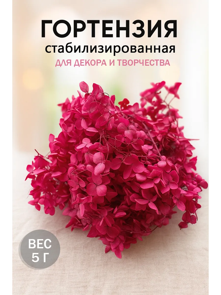 Стабилизированная гортензия сухоцветы