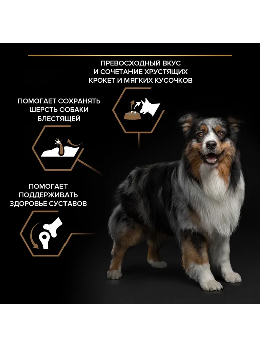 Сухой корм PRO PLAN Duo Delice для собак, крупные, средние, 2,5 кг, фото 3