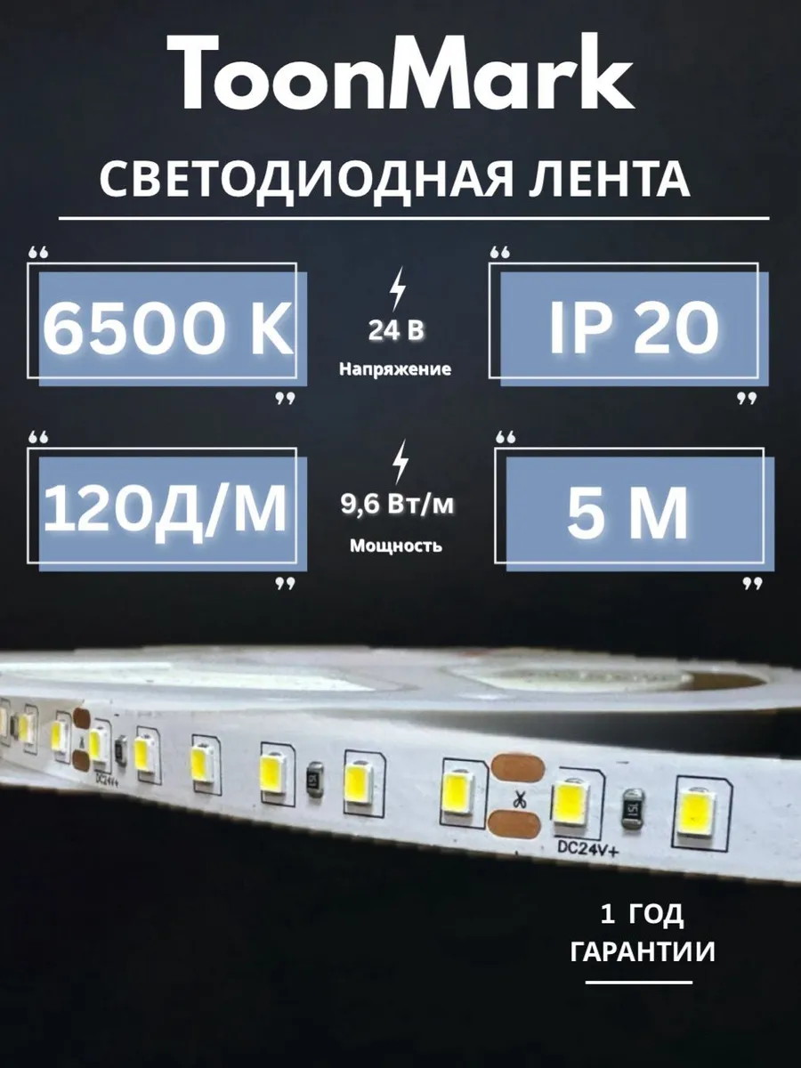 Светодиодная лента 5 метров, 24 вольт холодный белый свет