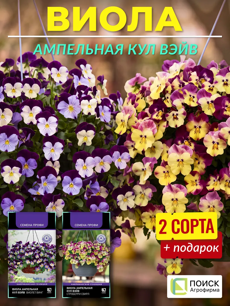 Семена виола ампельная Кул Вэйв многолетняя