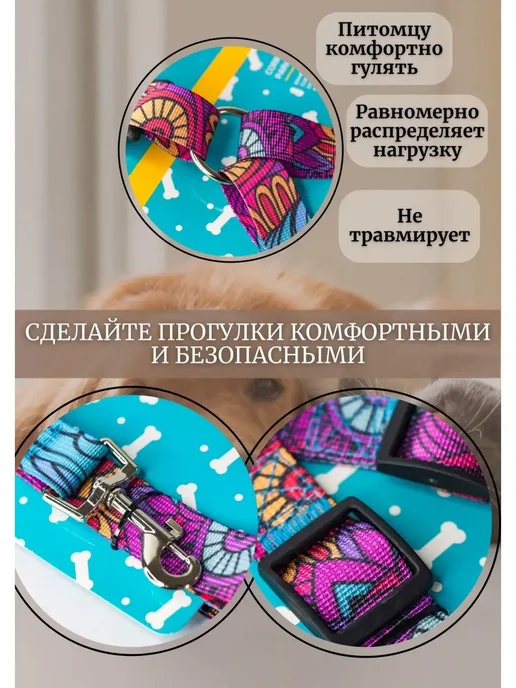 Ошейник и поводок для собак и котов, фиолетовый, фото 3