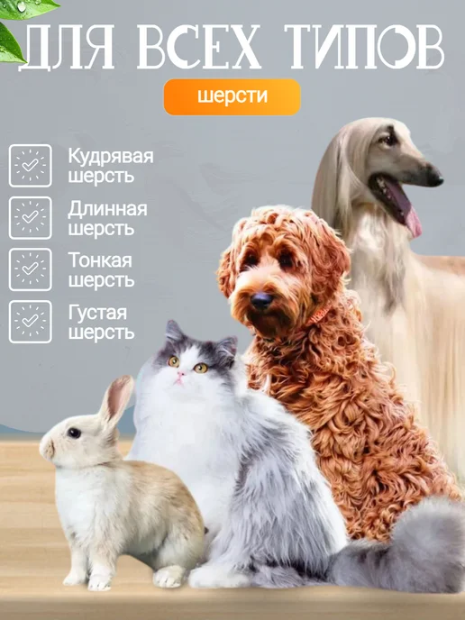 Машинка для стрижки домашних животных груминг, голубой, фото 2