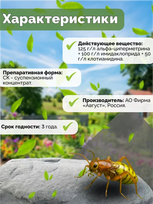 Avgust Пиноцид для хвойных защита от вредителей, вариант, фото 3