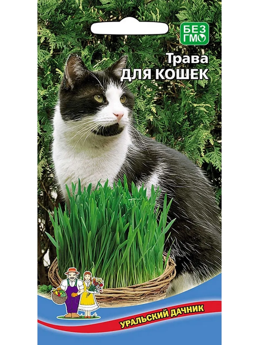Семена Трава для Кошек, 10г