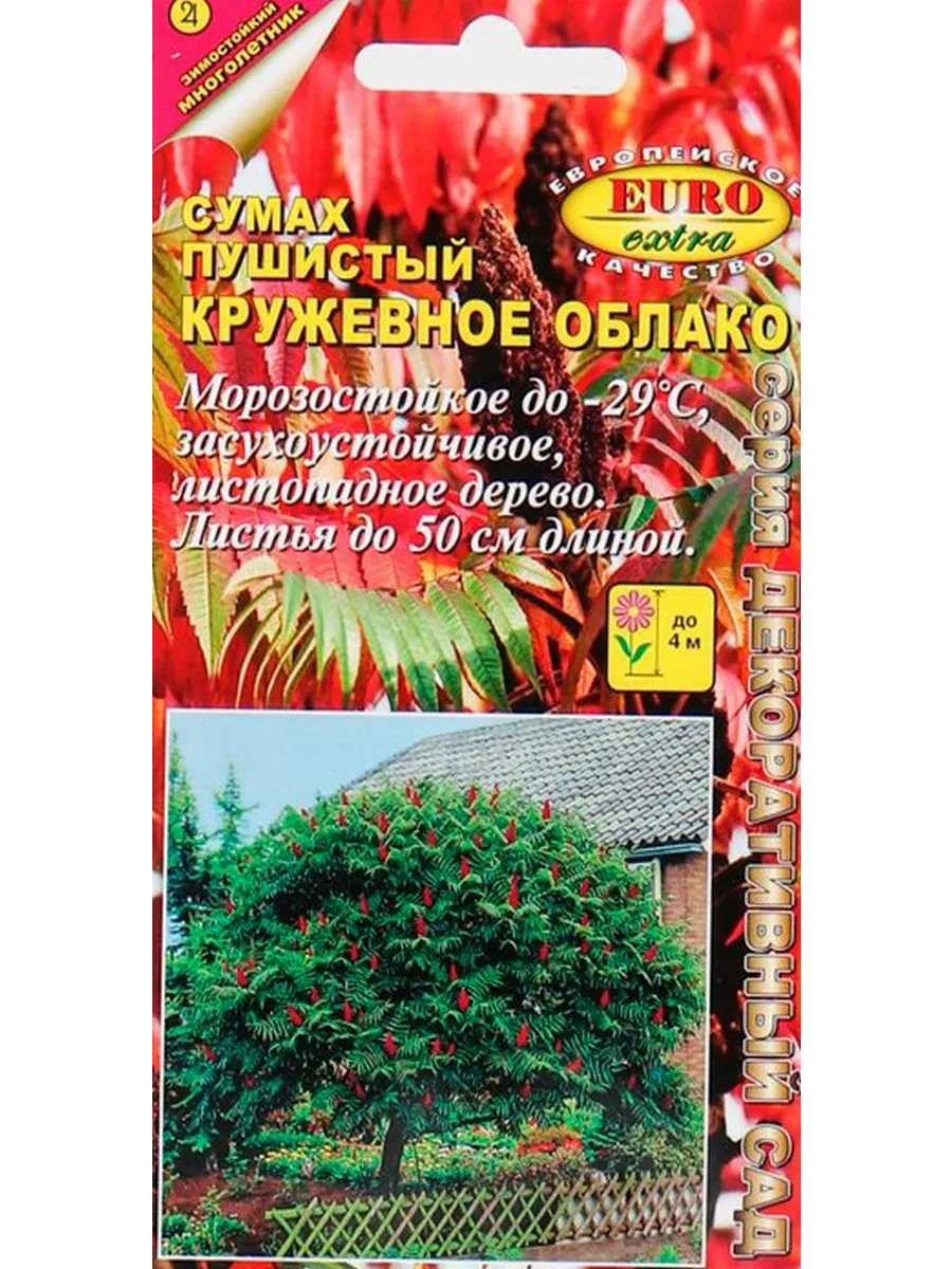 Семена Сумах пушистый Кружевное Облако