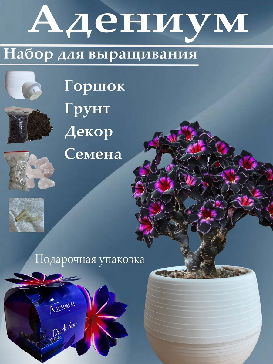 Набор для выращивания Адениум