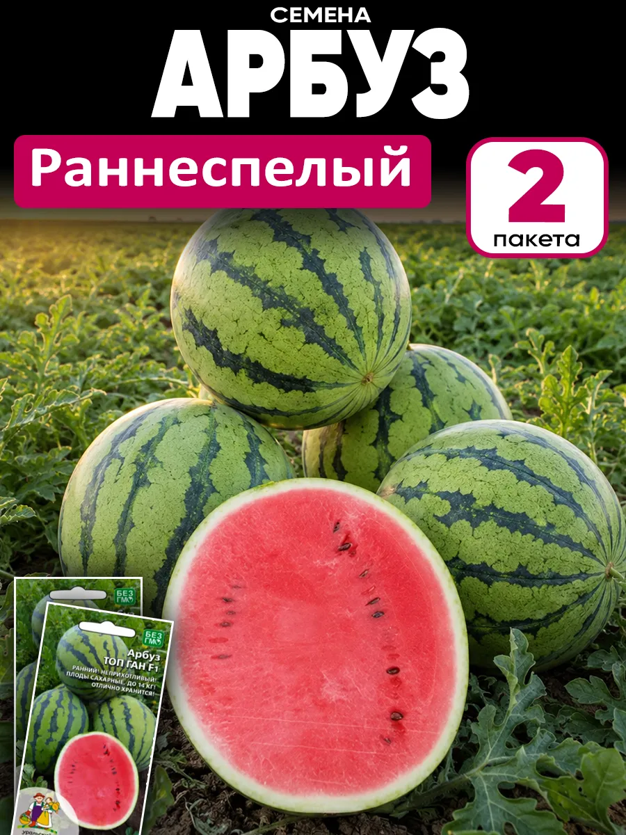 Семена арбуза ультраскороспелый 360