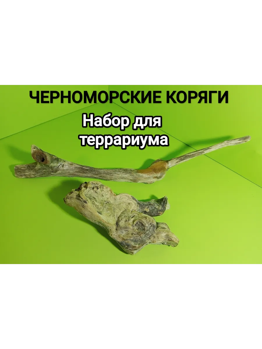 Коряга натуральная Черноморская для террариума, инсектариума