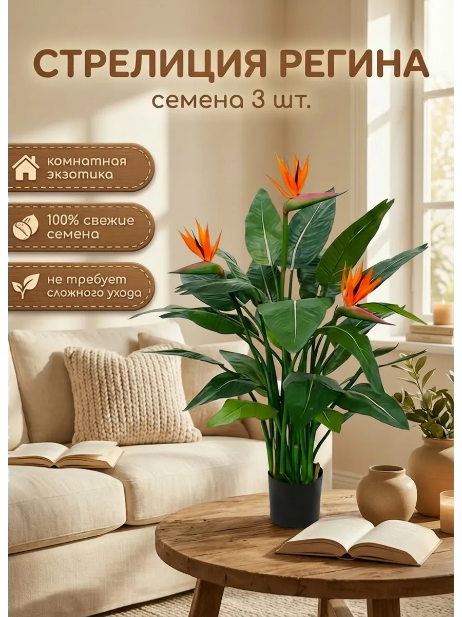 Семена Стрелиции Королевской 3шт. комнатное растение