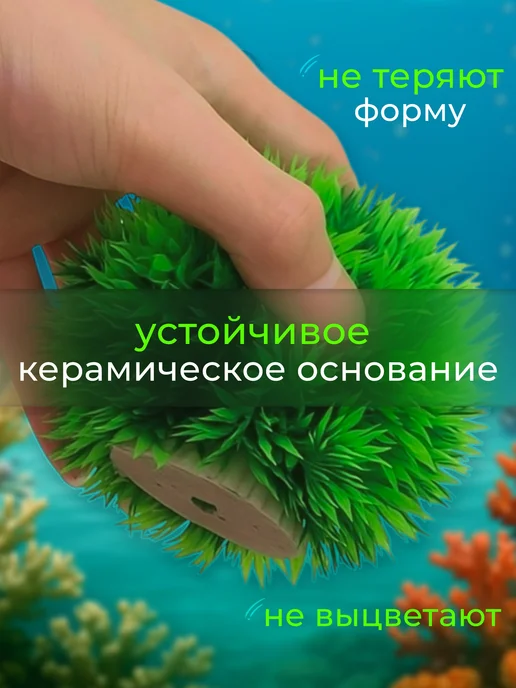 SOKOL0VE Растение аквариумное искусственное для аквариума 1 шт, 2 шт, фото 2