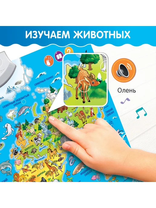 Школьный уголок Обучающий плакат «Животные мира», звуковые эффекты, вариант, фото 4