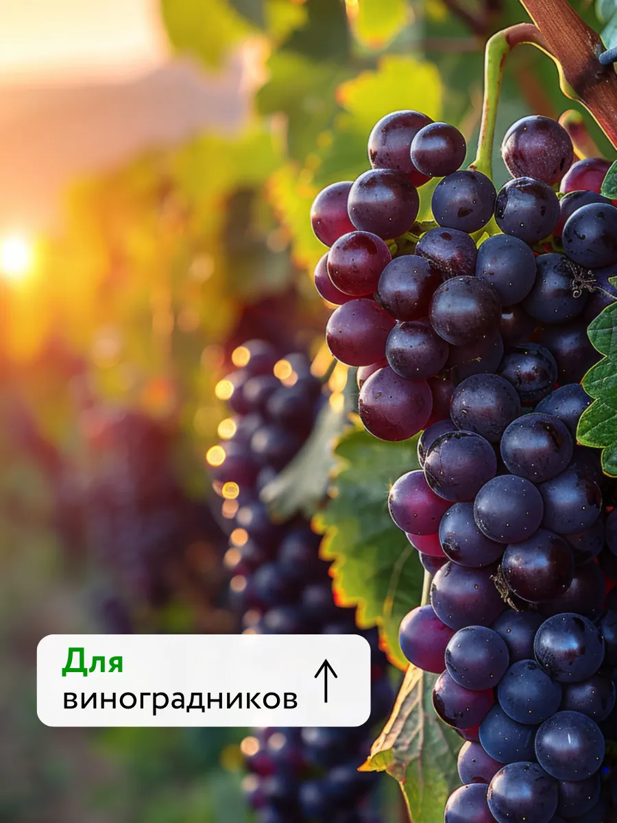 Удобрения для растений огорода и сада Текнокель Амино CAB — фото 9