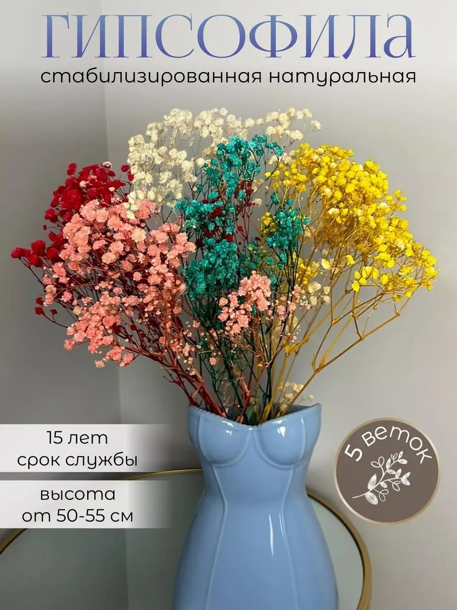 Гипсофила стабилизированная для декора Букет