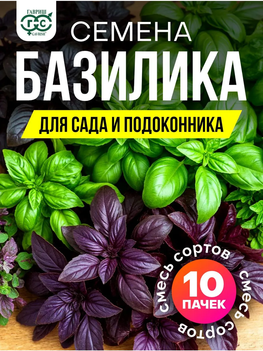 Базилик семена для сада и подоконника