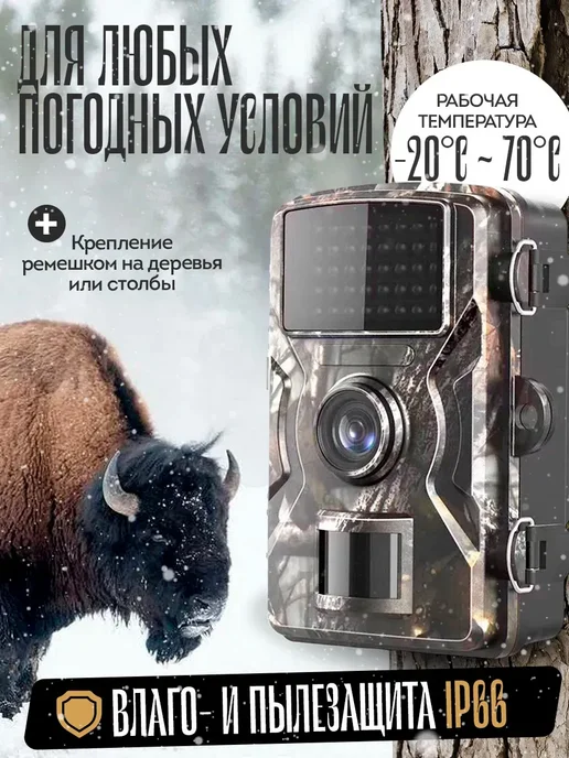 Фотоловушка для охоты и охраны дачи, вариант, фото 4