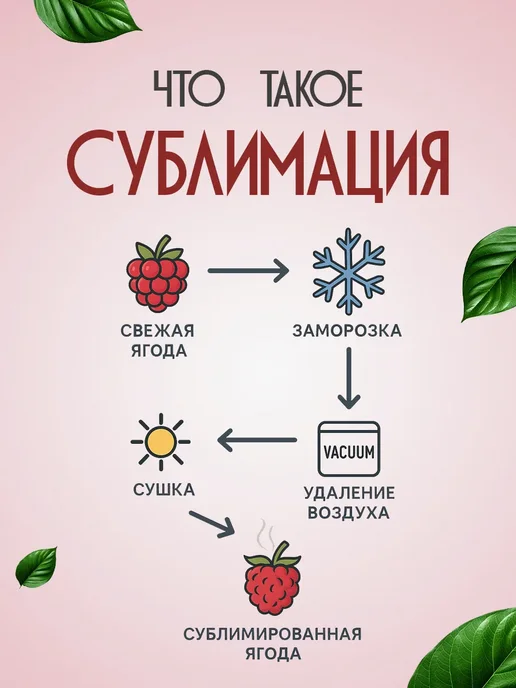 Shine Ягода клюква сублимированная сушёная в кусочках 25гр, 25 г, фото 3