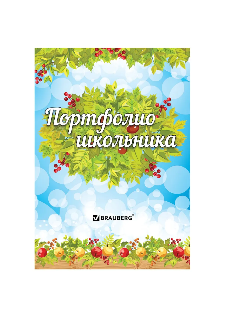 Портфолио школьника 14 разделов 16 листов
