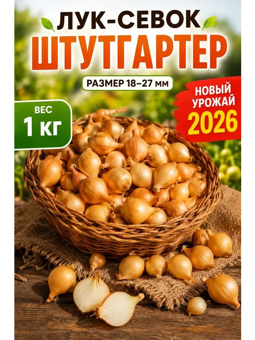 Лук севок для посадки Штутгартер 1 кг, 1 кг